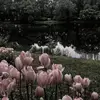 nothingtoseehere763