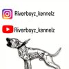 601_kennels2