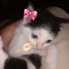rinn_naa07