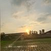 kartikaasusii29
