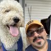 maximusthepupp5
