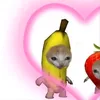 arctikmonke2