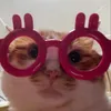 gaumeosayhii