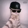 kevin.inihao