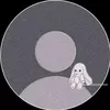 doaa0941
