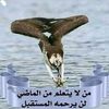 user959884947252