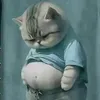 arjay666_