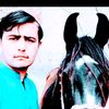 gulkhankhan659