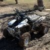 350yamaharippaaaa