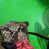 agus.sutikno567