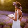 nosy.bookworm