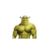 everydayimshuffling24