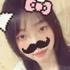 phngbch501