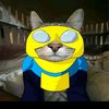 user6753965704211