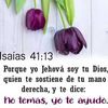 layesa97
