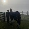 avalouisefarquhar