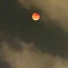 shaylifares2