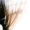 e_day_e123
