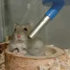 fetahampsteri