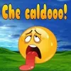 palmiotto.luigi