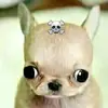 wenaaaaaaa8
