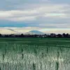 keranji01
