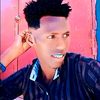 wiildauud5