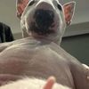toom_13456