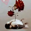 azol.ikoyaan0