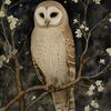 whiteowl45