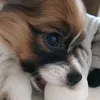 00truskawkaaa00