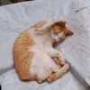 preciousalexsandra