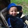 kingden_