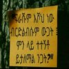 yefaghiwet