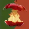 c0nstellati0n.51