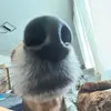 ellkiiss1