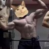 julian__233