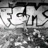 diese_eine.123