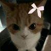 leonia__07