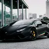 hamza.mirza2534