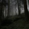 ghostwe.777