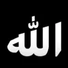 user53799625817070
