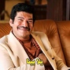 amro.masry