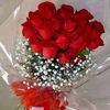 warda3883