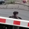 jakov.dragi