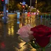 02azizam
