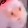 lepainperduu