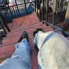 holacomoestan9899
