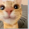 akonalangcasey0