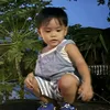bi_ying